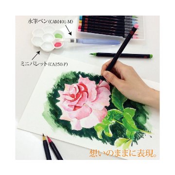 水彩 水彩毛筆「彩」春を描く５色セット haru はる CA200-5VAの画像