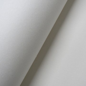 水墨画用紙 別漉画仙紙 純楮紙（F8号判）20枚 38.0×45.5cm画像