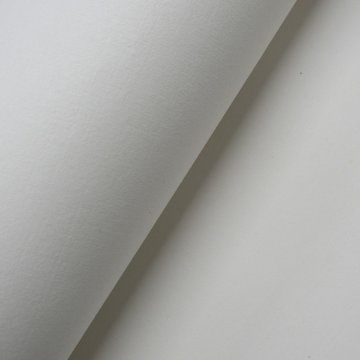 水墨画用紙 別漉画仙紙 手漉二双紙（F5号判）20枚 27.0×35.0cmの画像