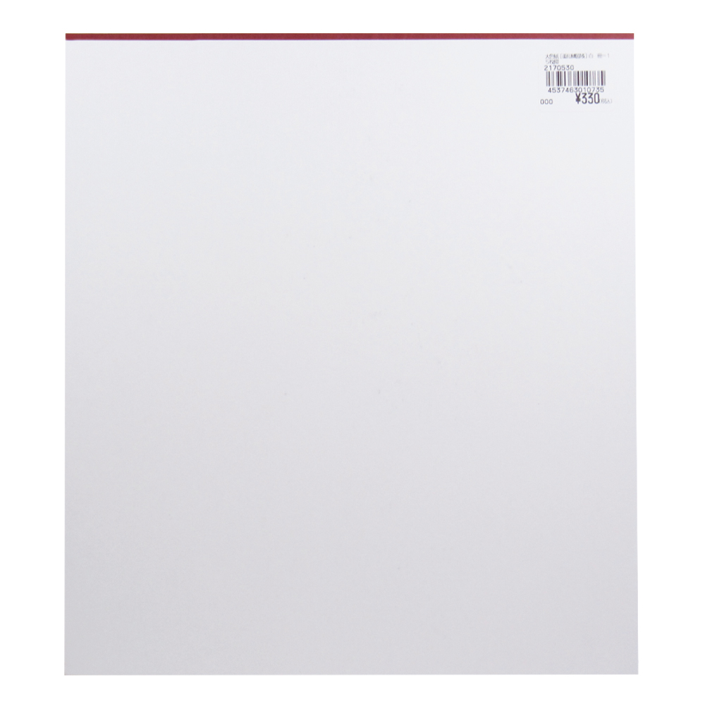 大色紙[画仙練習帳]白　15枚綴の画像