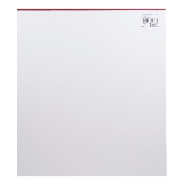 大色紙[画仙練習帳]白　15枚綴の画像