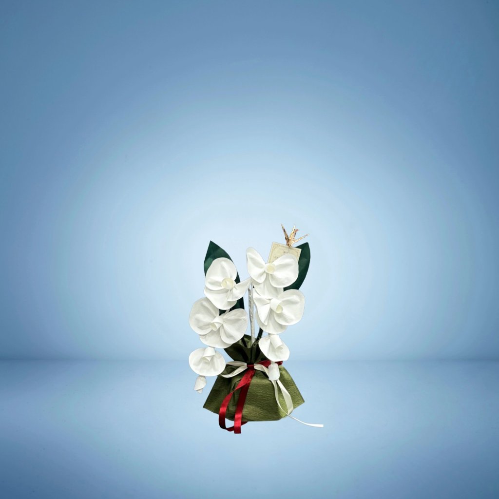 SuperFlower 胡蝶蘭　万博迎賓館モデル（1万円タイプ）の画像