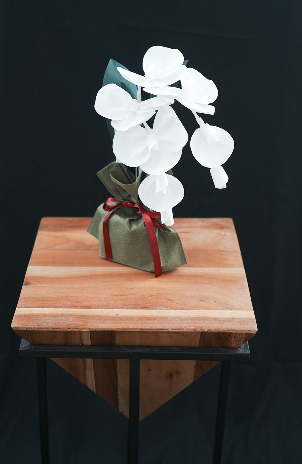 SuperFlower 胡蝶蘭　万博迎賓館モデル（1万円タイプ）の画像