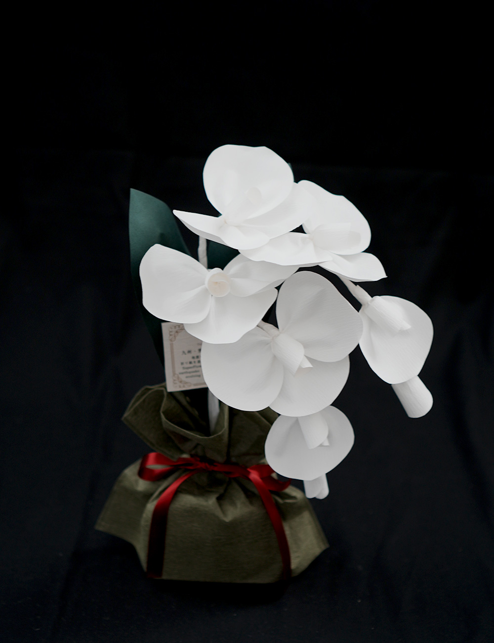 SuperFlower 胡蝶蘭　万博迎賓館モデル（1万円タイプ）の画像