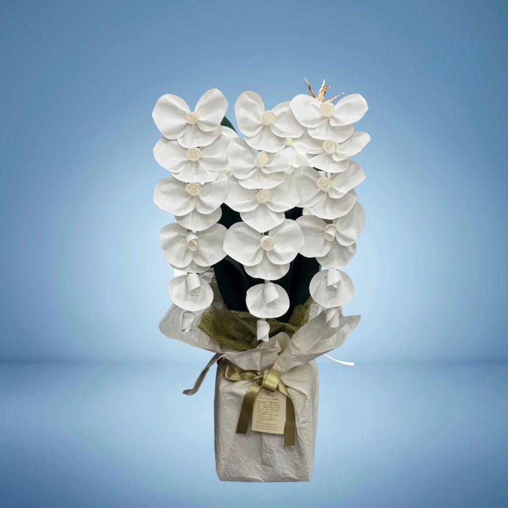 2026 SuperFlower 胡蝶蘭（2万円）の画像