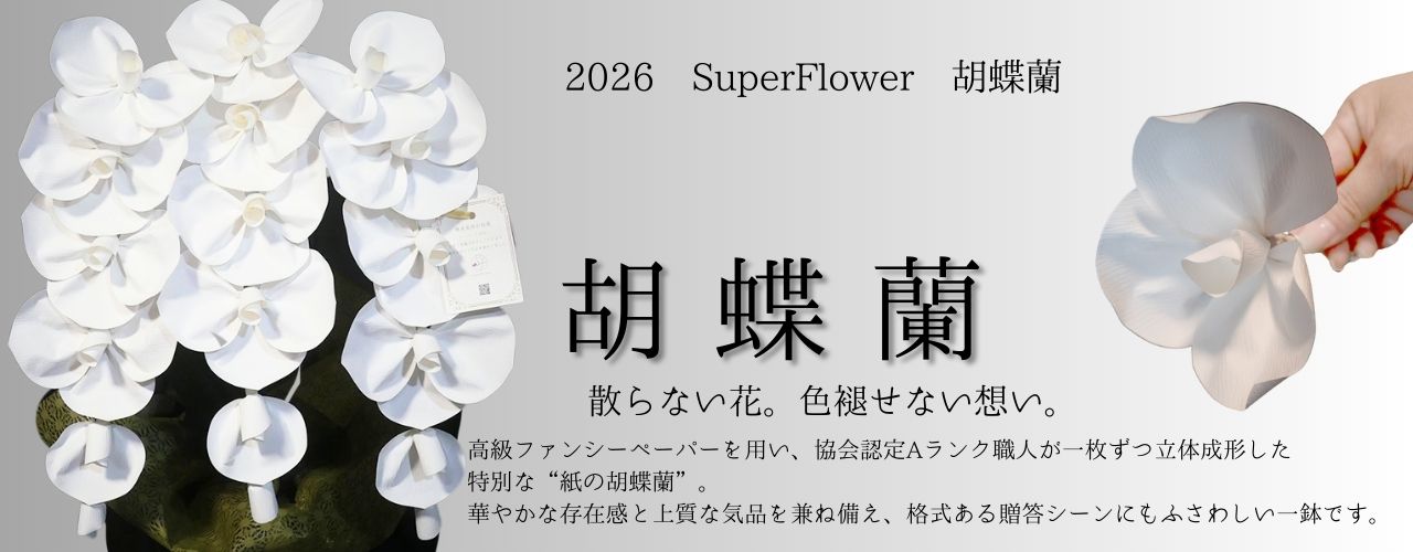 SuperFlower 胡蝶蘭 2026 2万円モデル