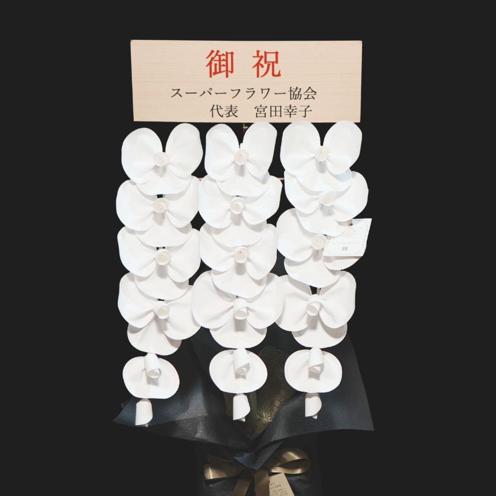 2026 SuperFlower 胡蝶蘭（2万円）の画像