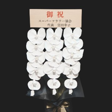 2026 SuperFlower 胡蝶蘭（2万円）の画像