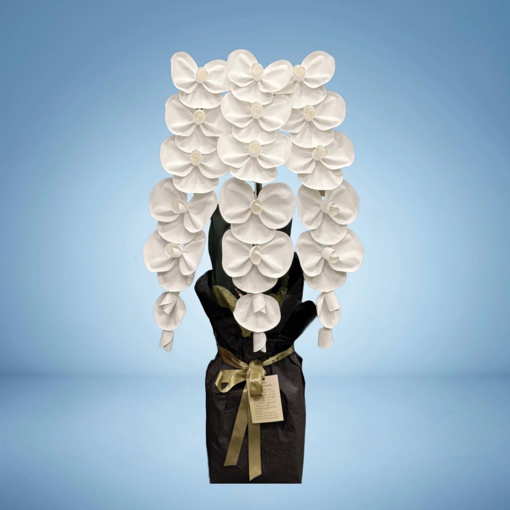 2026 SuperFlower 胡蝶蘭（3万円）の画像