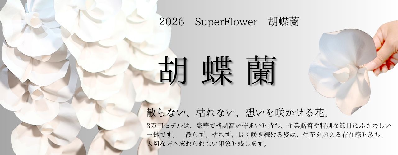 SuperFlower 胡蝶蘭 万博迎賓館モデル 2026 EDITION（3万円タイプ）