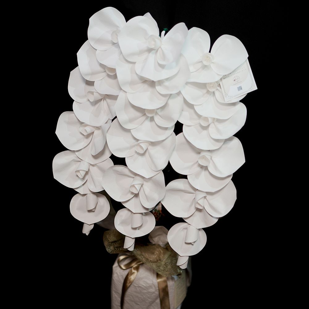 2026 SuperFlower 胡蝶蘭（3万円）の画像