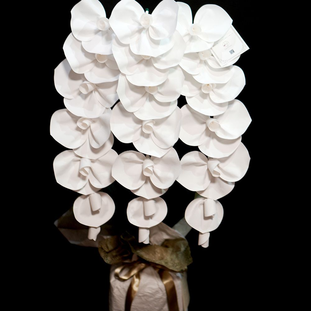 2026 SuperFlower 胡蝶蘭（3万円）の画像