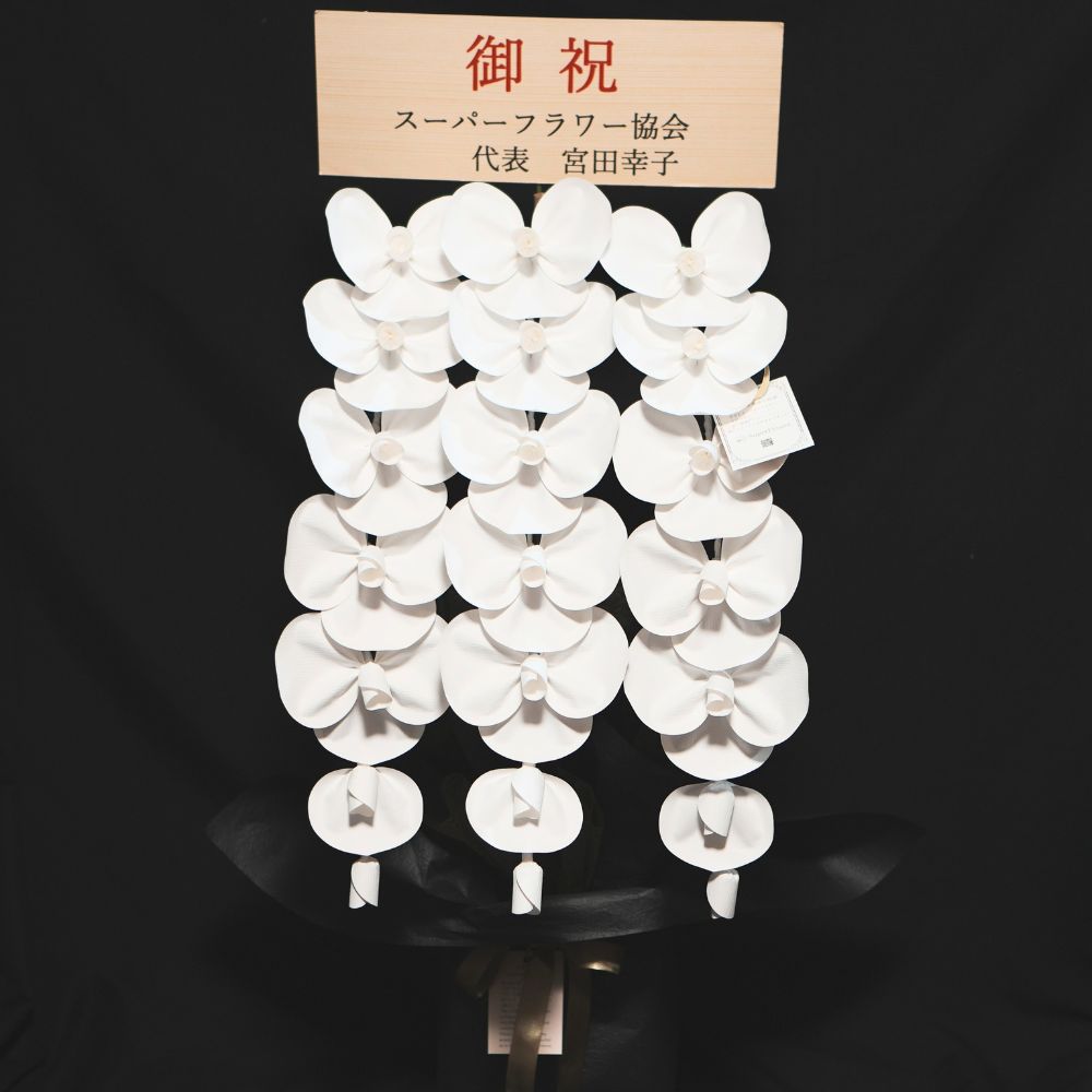 2026 SuperFlower 胡蝶蘭（3万円）の画像