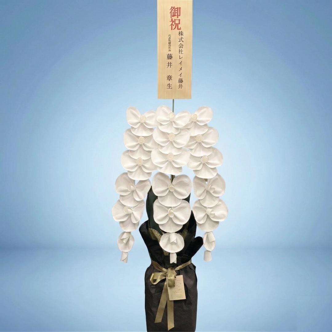 2026 SuperFlower 胡蝶蘭（3万円）の画像