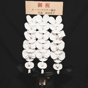 2026 SuperFlower 胡蝶蘭（3万円）の画像