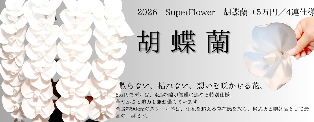 SuperFlower 胡蝶蘭（5万円タイプ・4連仕様）