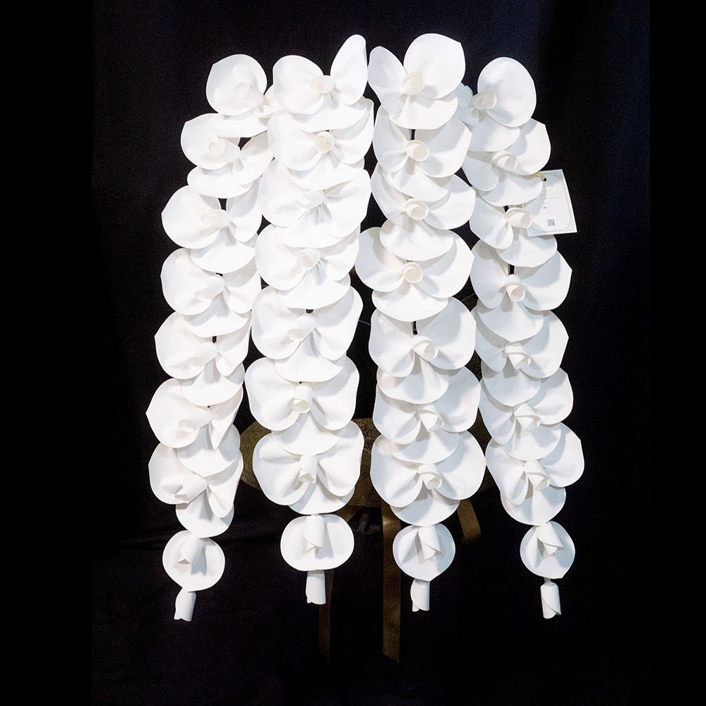 2026 SuperFlower 胡蝶蘭（5万円）の画像