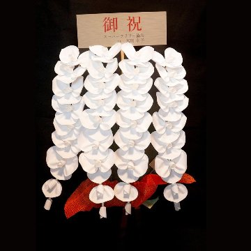 2026 SuperFlower 胡蝶蘭（5万円）の画像