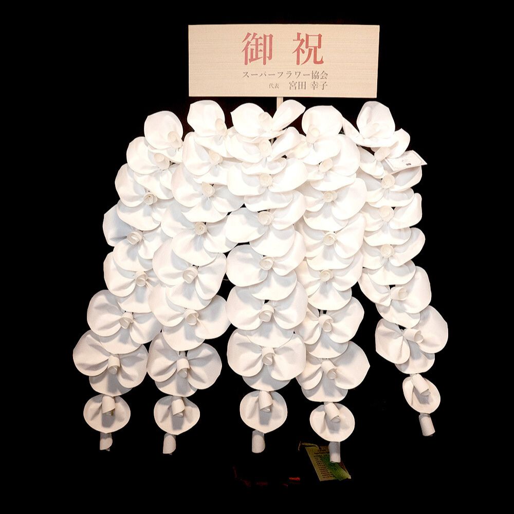 2026 SuperFlower 胡蝶蘭（7万円）の画像