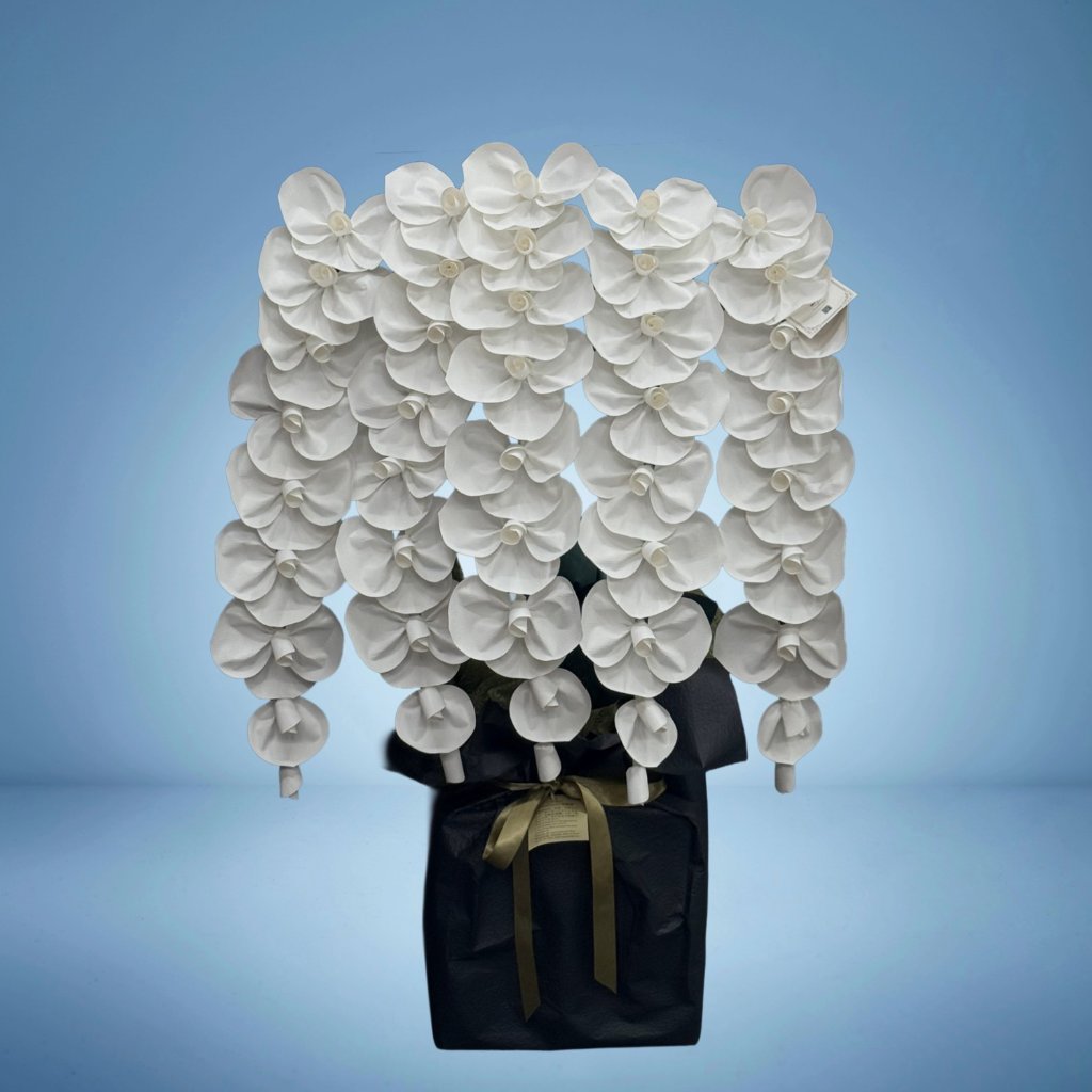 2026 SuperFlower 胡蝶蘭（7万円）の画像