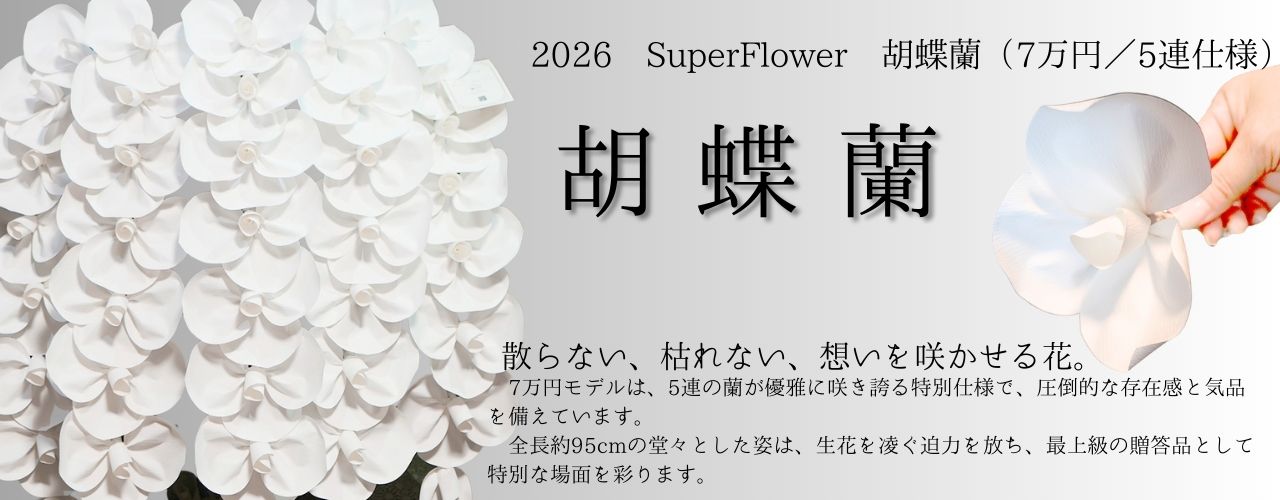 2026 SuperFlower 胡蝶蘭｜7万円ギフト（5連仕様）