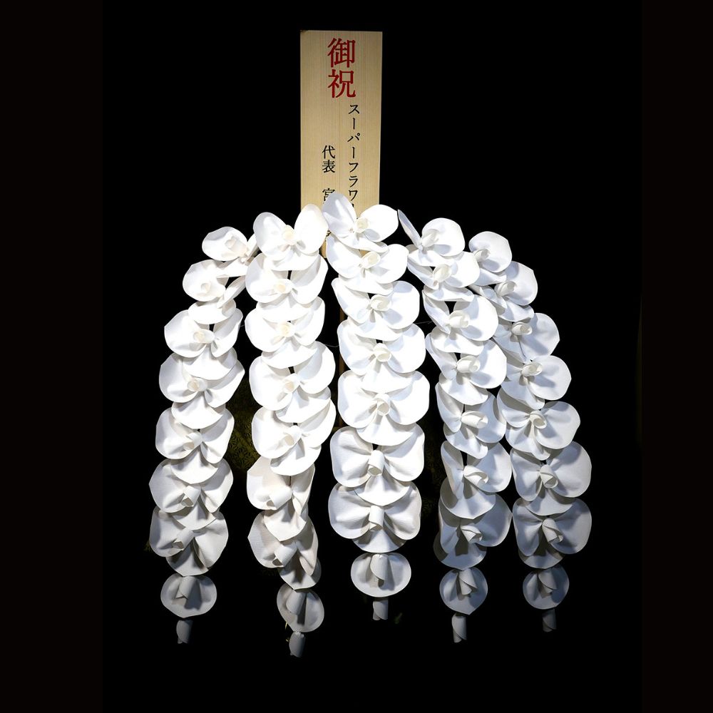 2026 SuperFlower 胡蝶蘭（7万円）の画像