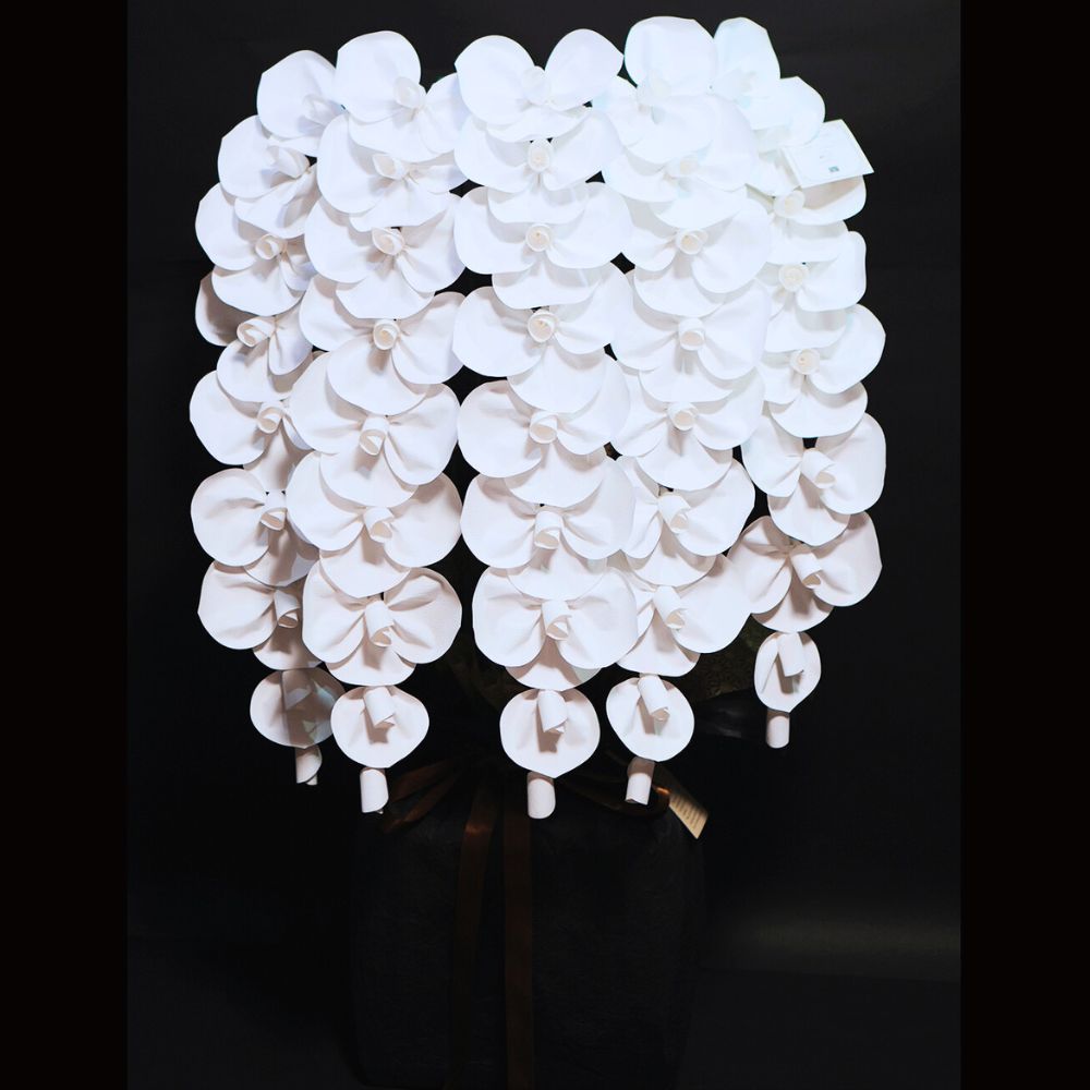 2026 SuperFlower 胡蝶蘭（7万円）の画像