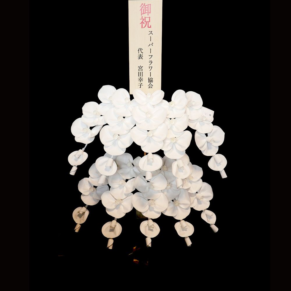 2026 SuperFlower 胡蝶蘭（10万円）の画像