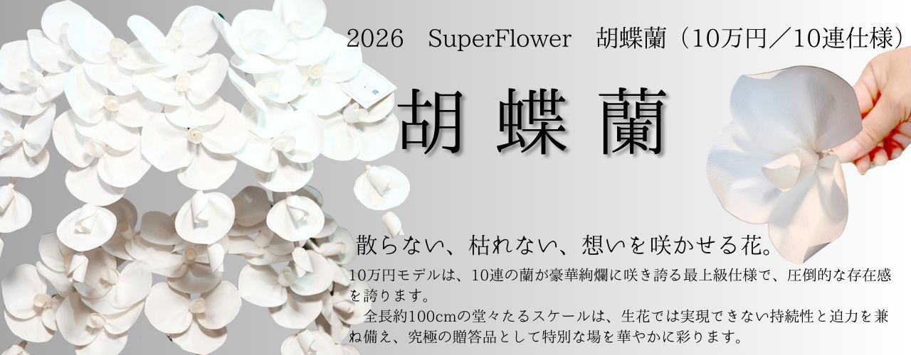 2026 SuperFlower 胡蝶蘭（10万円／10連仕様）