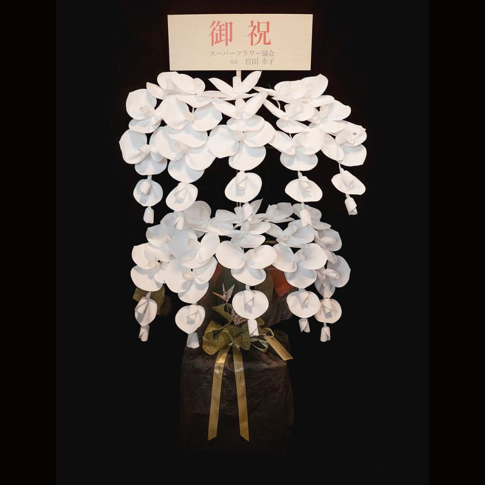2026 SuperFlower 胡蝶蘭（10万円）の画像