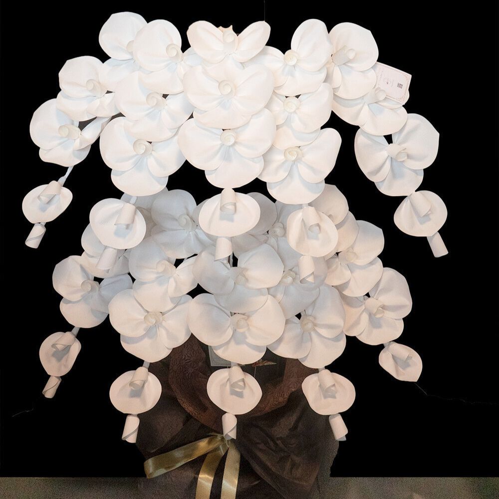 2026 SuperFlower 胡蝶蘭（10万円）の画像