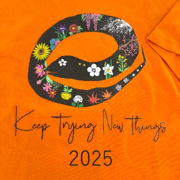 2025巳年Tシャツ~Keep Trying New Things~の画像