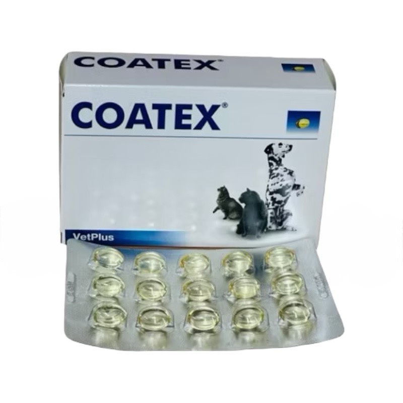 COATEX（コーテックス）被毛用ビタミンサプリメント　60カプセル/箱の画像