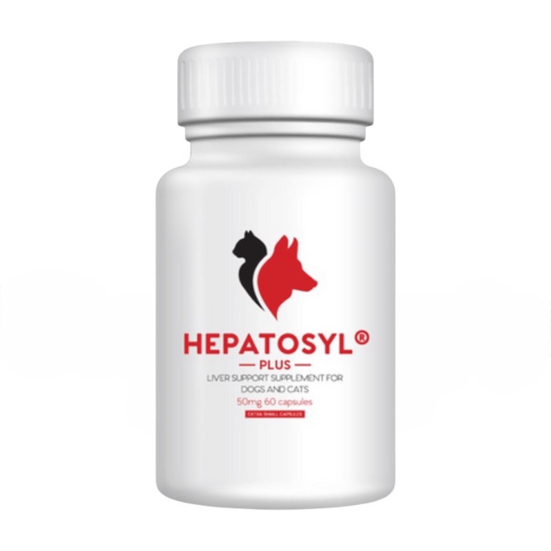 ヘパトシルプラス 肝機能サポーサプリメント　100mg/30カプセルの画像