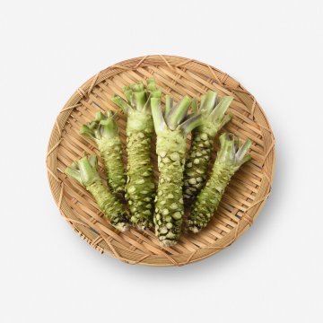 生わさびの芋（真妻種）フリーサイズ 0.5kgの画像