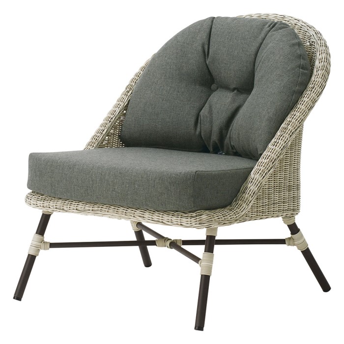 カンブリスの画像