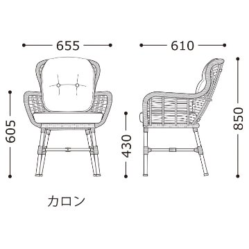 カロンの画像