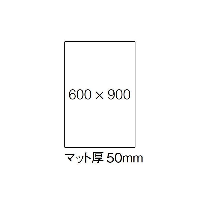 カンナ  [Canna]の画像