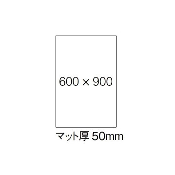 カンナ  [Canna]の画像