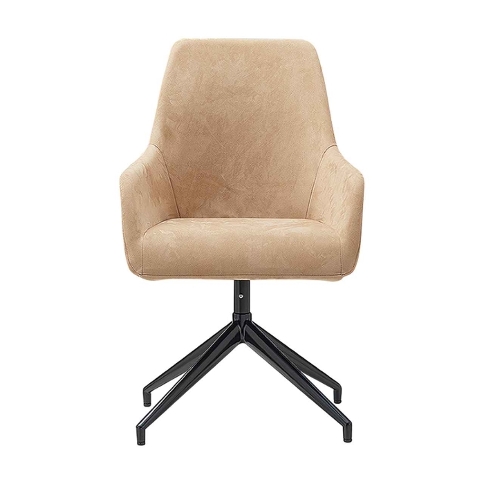 S040-2【アームチェア】の画像