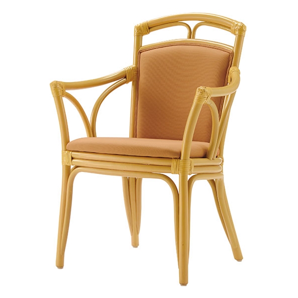 プラハ（アーム）［Praha］の画像