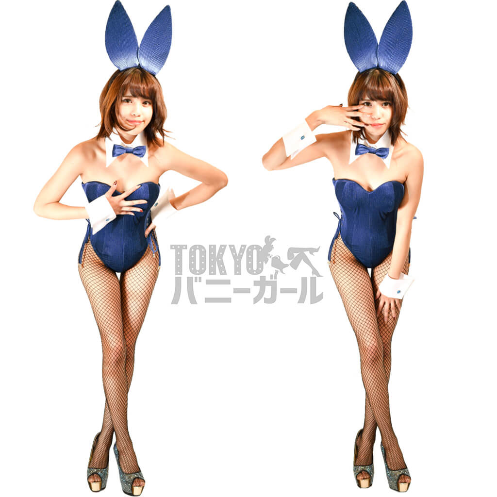 バニーガール 衣装 9点セット【金糸ベロア・ブルー18番】プレーン バニー衣装・裏地付の画像