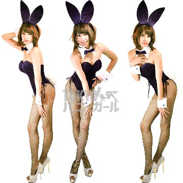 バニーガール 衣装 9点セット【金糸ベロア・パープル 11番】プレーン バニー衣装・裏地付の画像