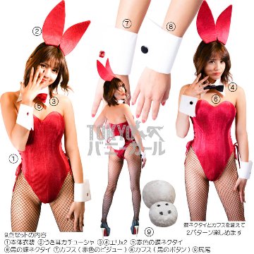 バニーガール 衣装 9点セット【金糸ベロア・レッド 15番】プレーン バニー衣装・裏地付の画像