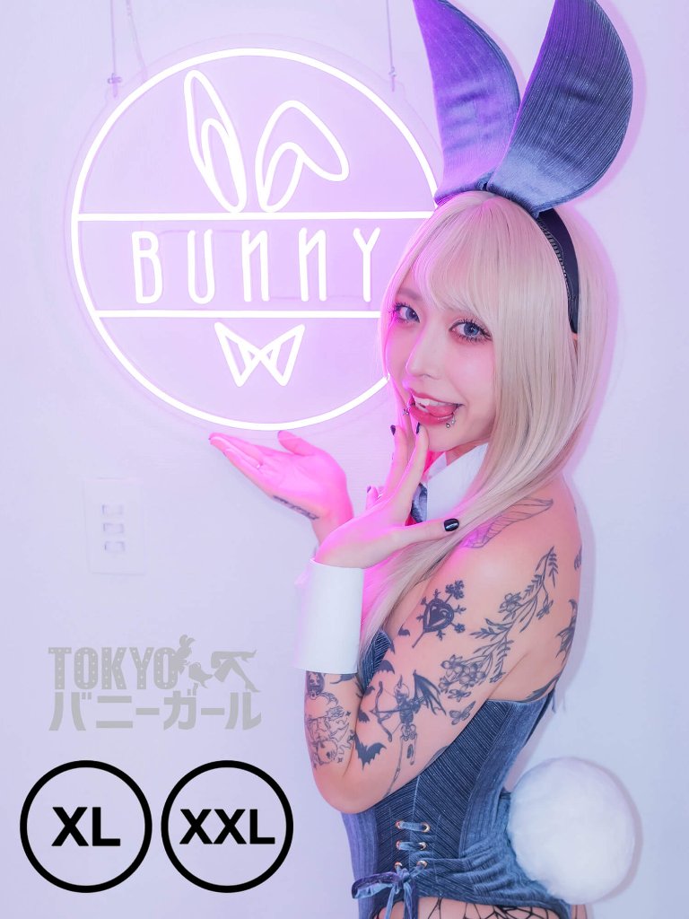 【大きいサイズ】バニーガール衣装 9点セット【金糸ブルー・グレー 17番】プレーン バニー衣装・裏地付の画像