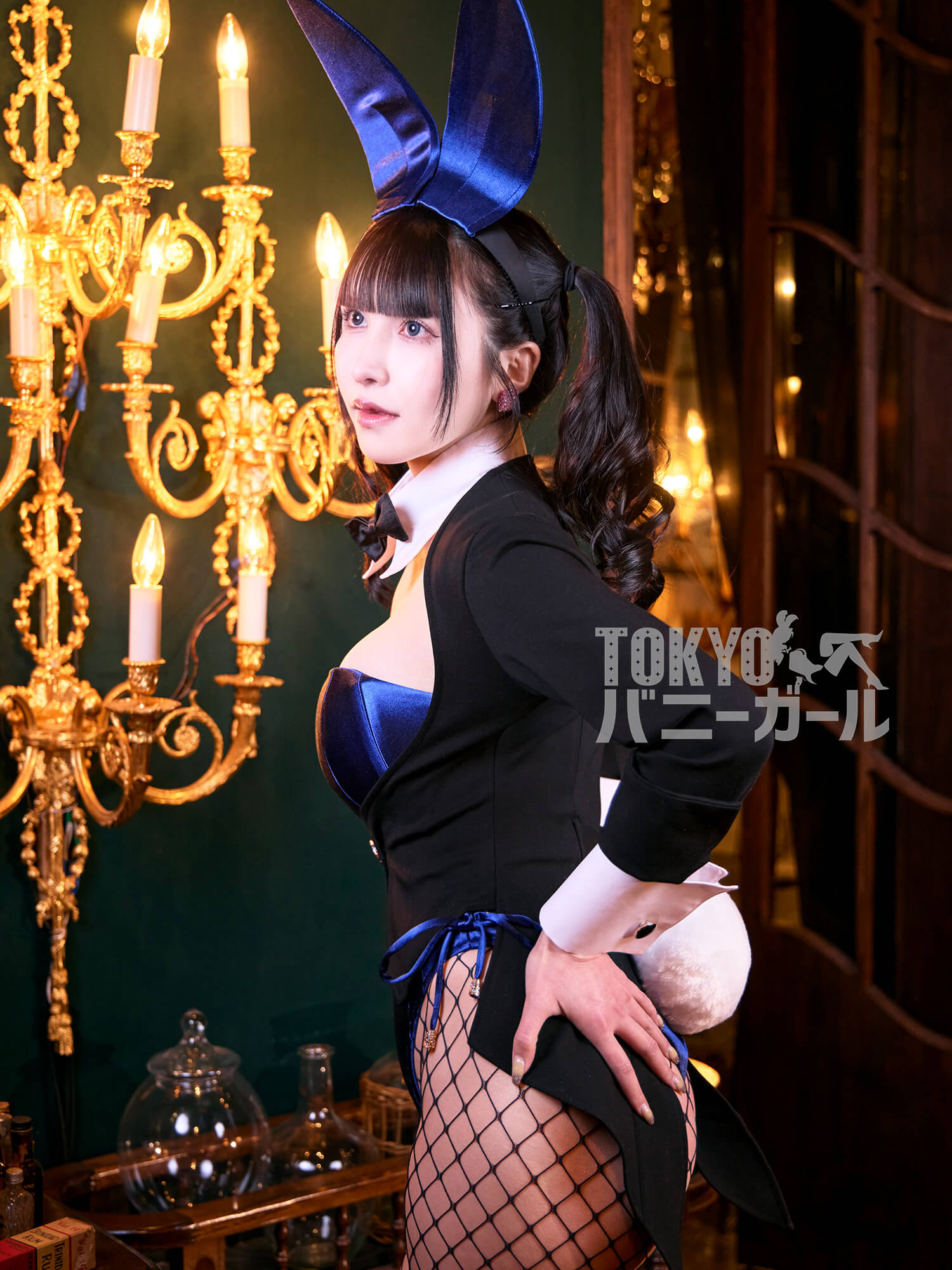 【大きいサイズ】バニーガール衣装 9点セット【ネイビーブルー】プレーン バニー衣装・裏地付の画像