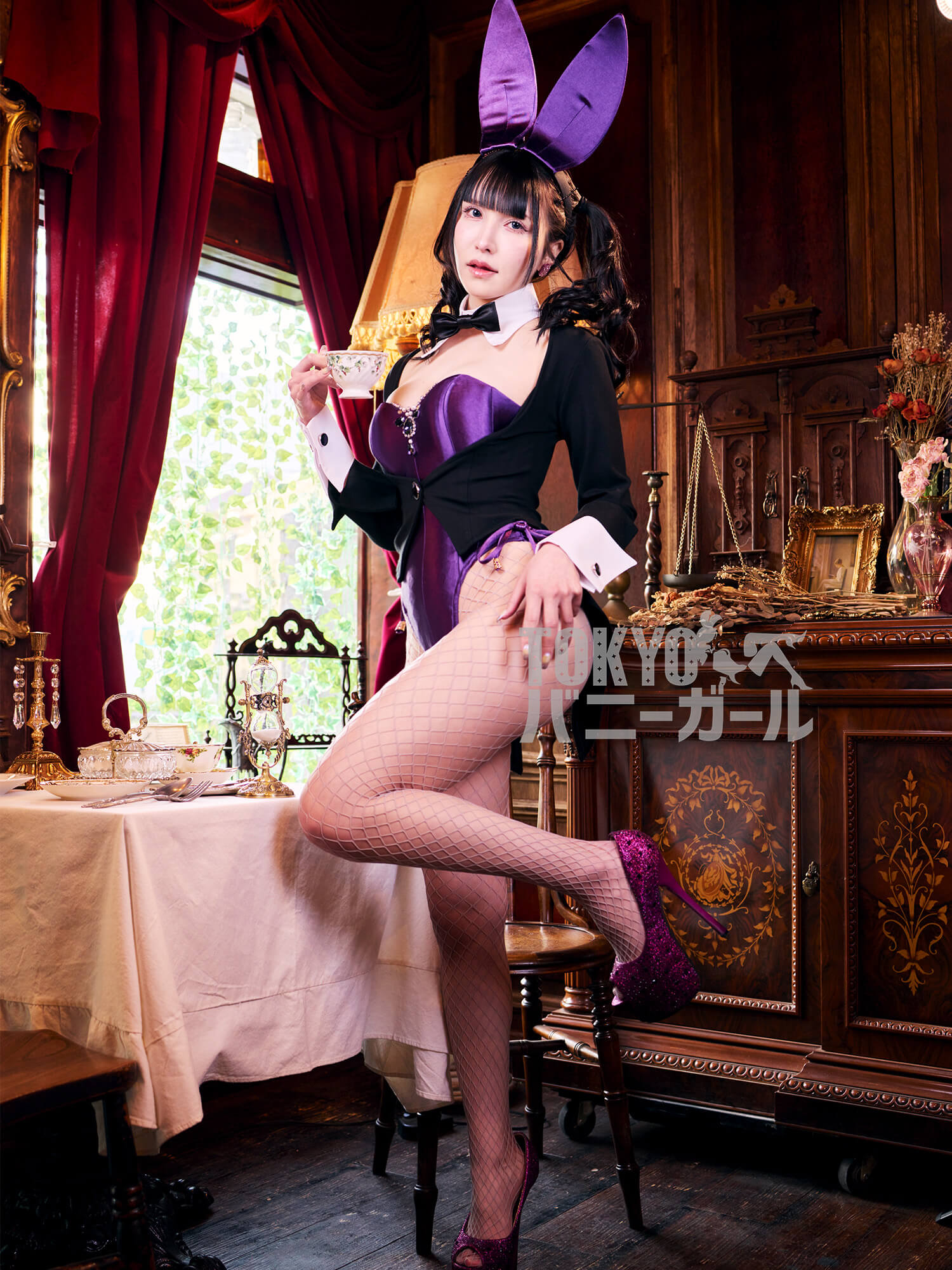 バニーガール コスプレ 衣装 9点セット 飾り付【ダーク・パープル】ドレスアップ バニー衣装・裏地付の画像