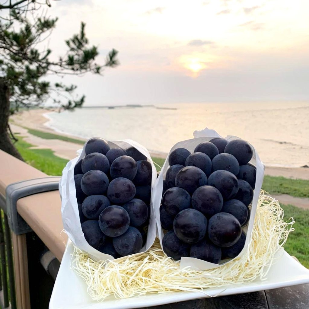 ピオーネ１ｋｇ【特秀】の画像