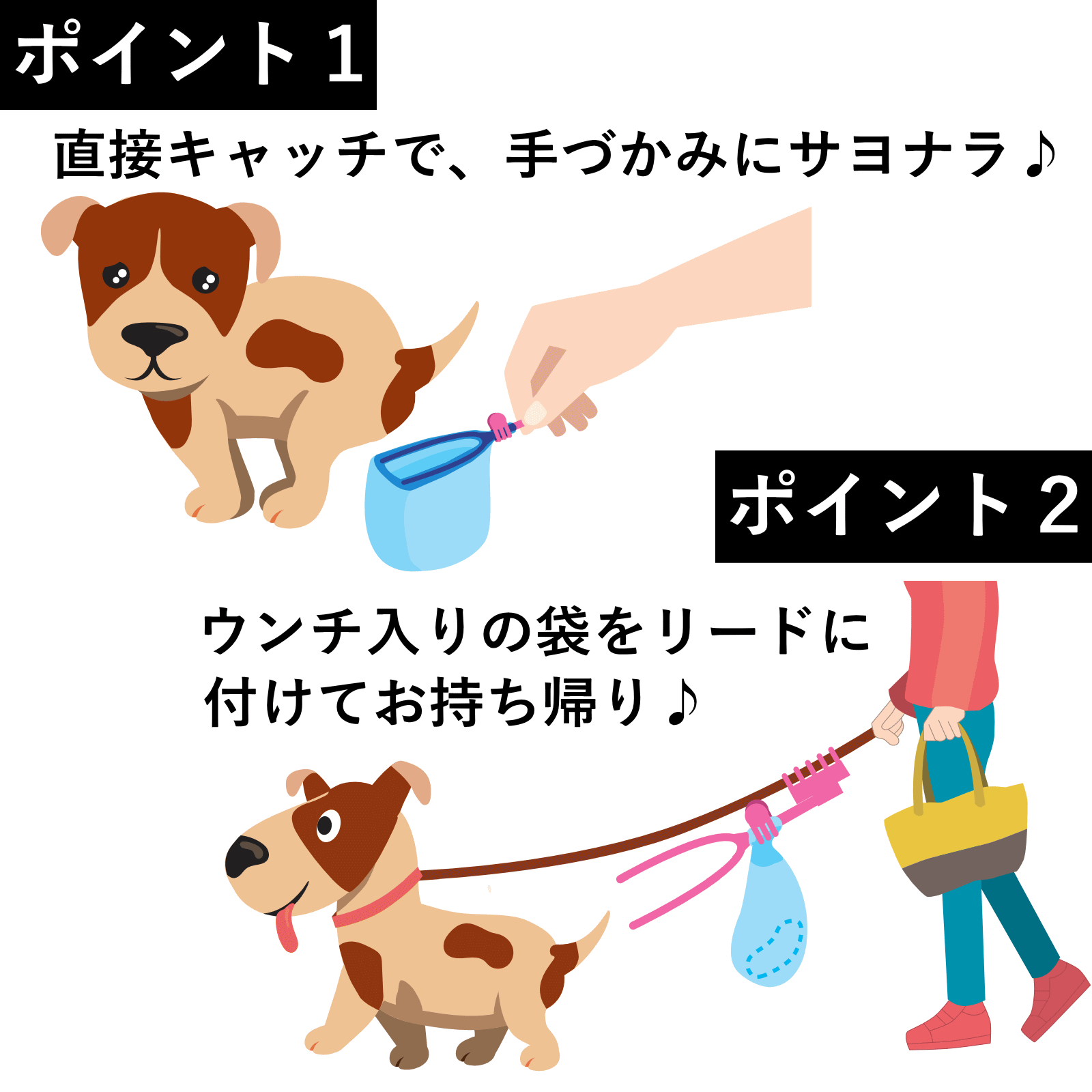 運キャッチの画像