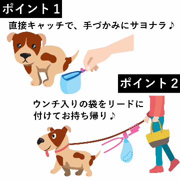 運キャッチの画像